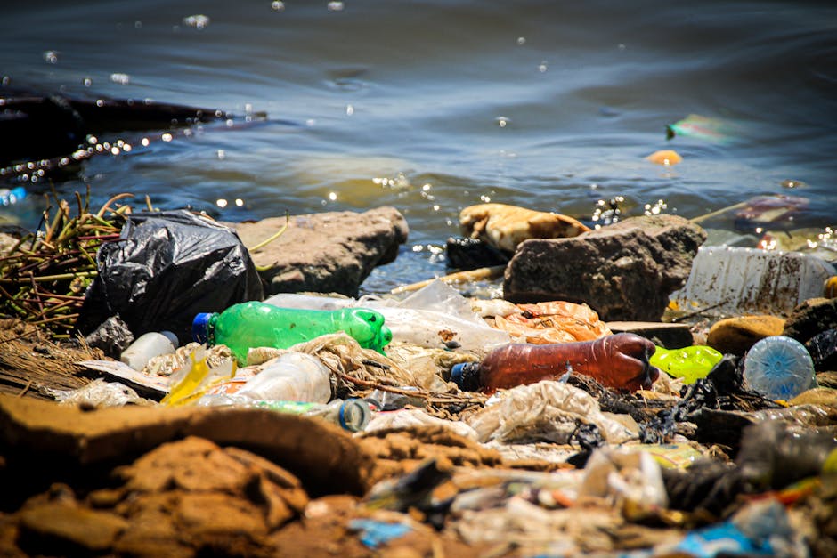 A close-up view of a shoreline scattered with various types of litter, including plastic bottles of different colors such as green, brown, and clear, along with crumpled plastic bags and other miscell